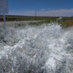 Foam spraying